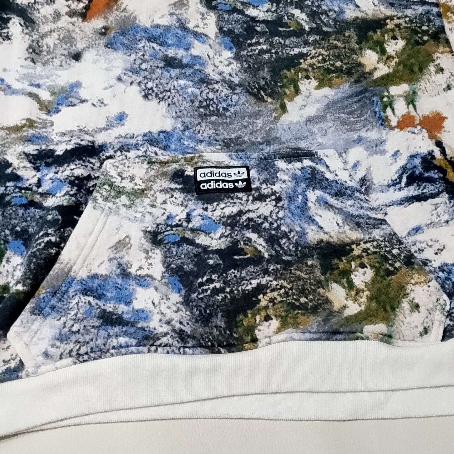 Felpa Adidas con cappuccio con stampa snow mountain